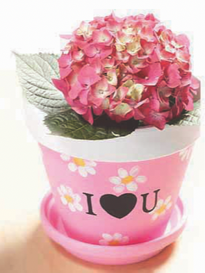 HOMEMADE MOTHER’S DAY POT