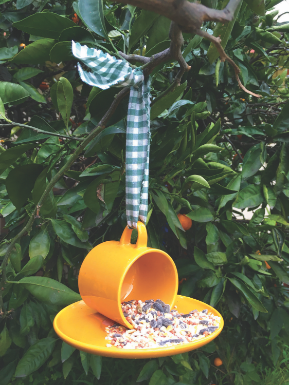 Bird feeder